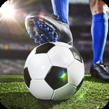 bsports官网登录入口手机版